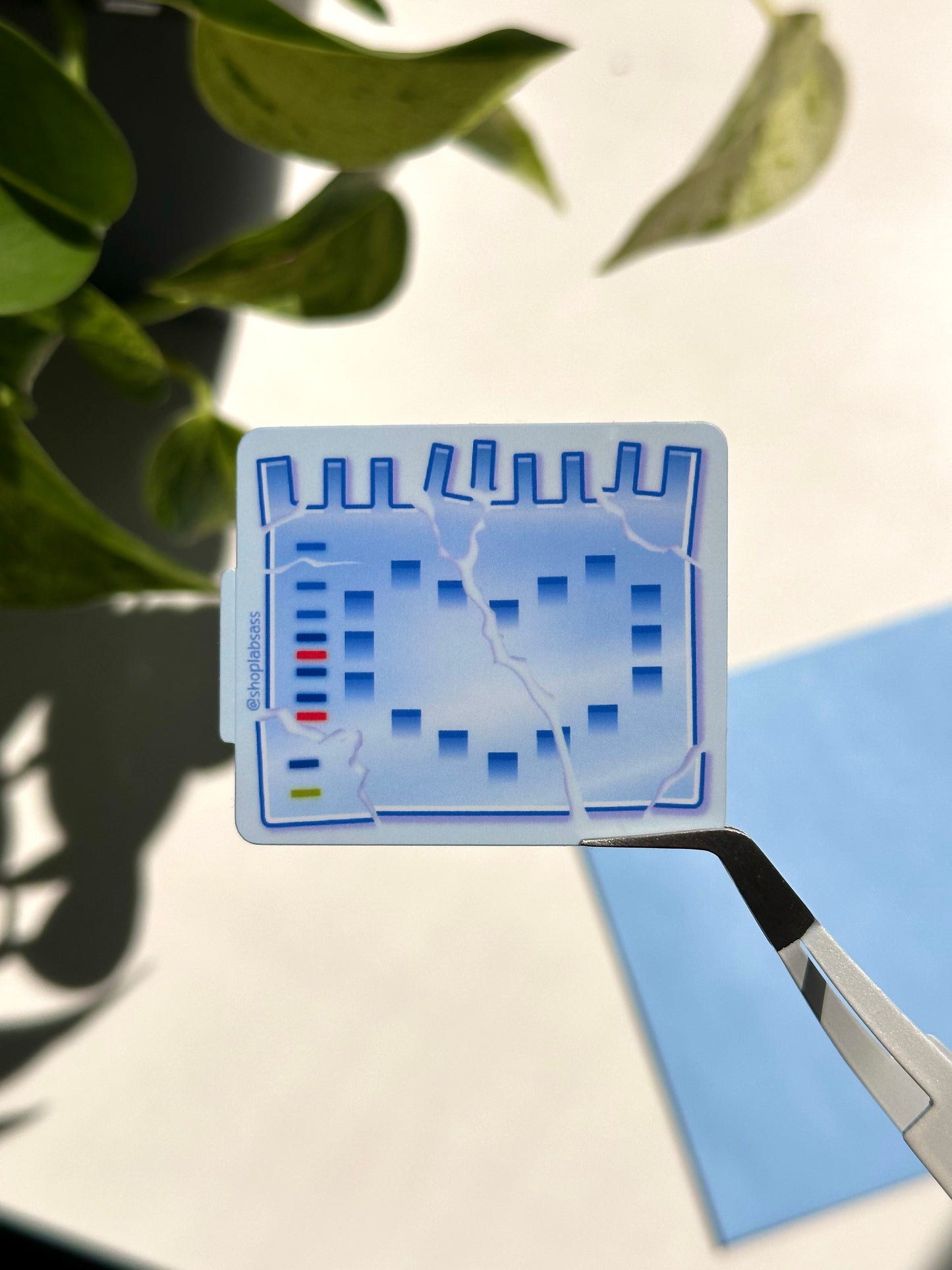 Broken Heart SDS-PAGE Gel Vinyl Sticker