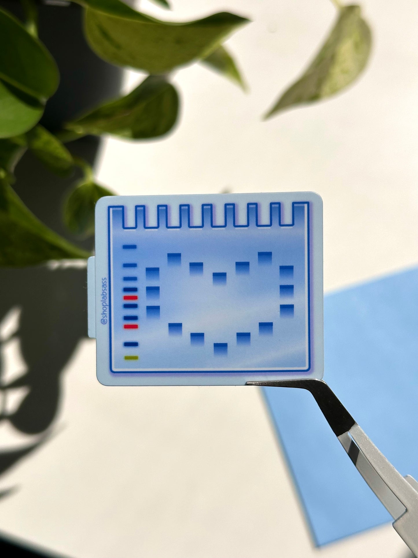 Heart SDS-PAGE Gel Vinyl Sticker